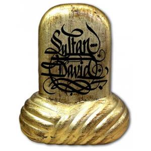 HY072 - Mevlana Sikkesi Altın Renkli